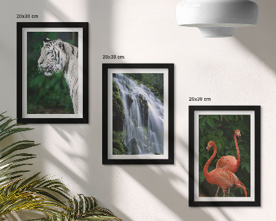Framed triptych Tiger waterfall and pink flamingos in nature