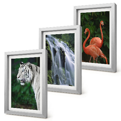 Framed triptych Tiger waterfall and pink flamingos in nature