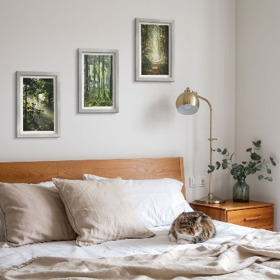 Photo frame wall Green forests with rays of light and a forest path