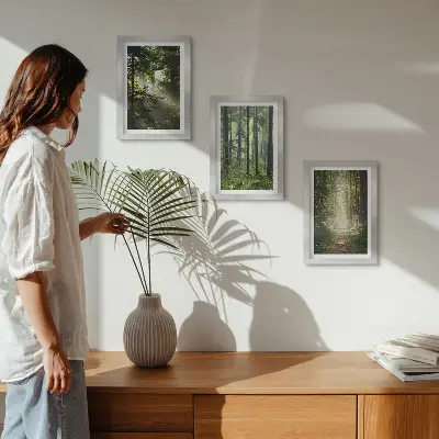 Photo frame wall featuring a forest path among green trees with rays of light