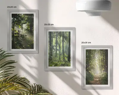 Photo frame wall featuring a forest path among green trees with rays of light