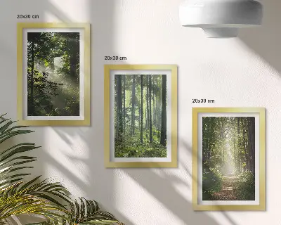 Photo frame wall featuring a forest path among green trees with rays of light