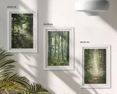 Photo frame wall featuring a forest path among green trees with rays of light