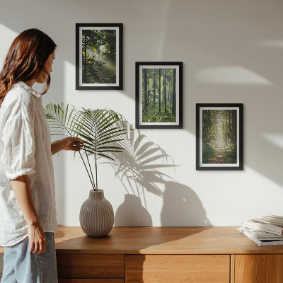 Photo frame wall Green forests with rays of light and a forest path