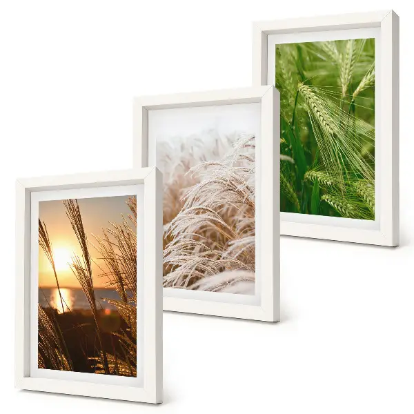Colorful nature grass triptych framed