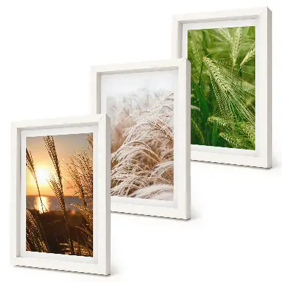 Colorful nature grass triptych framed