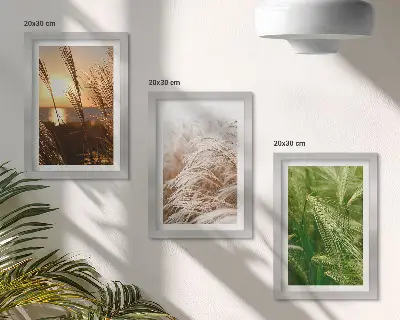 Colorful nature grass triptych framed