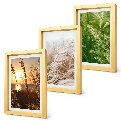 Colorful nature grass triptych framed