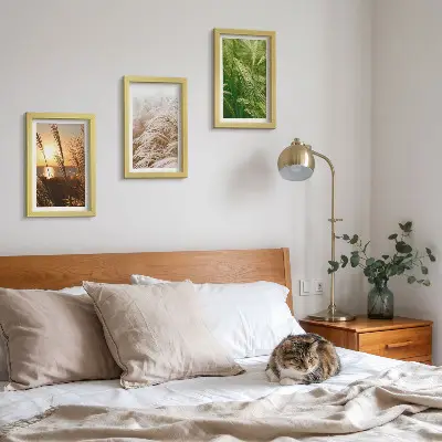 Colorful nature grass triptych framed