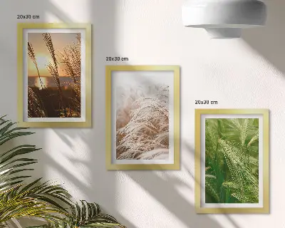 Colorful nature grass triptych framed