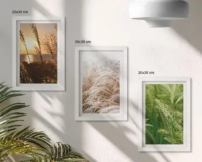 Colorful nature grass triptych framed