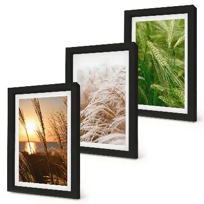 Colorful nature grass triptych framed