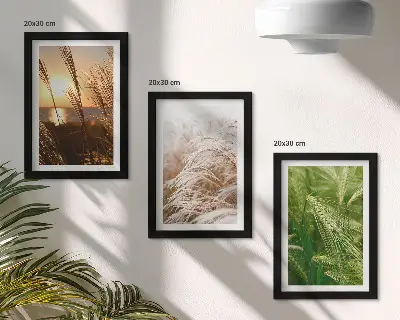 Colorful nature grass triptych framed