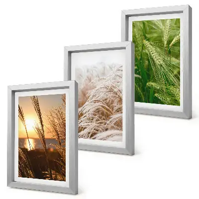 Colorful nature grass triptych framed