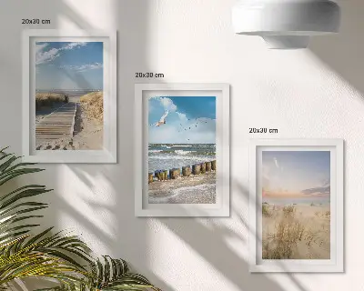 Photo frame wall featuring a beach with sand, waves, sky, and birds in flight