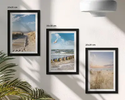Photo frame wall featuring a beach with sand, waves, sky, and birds in flight