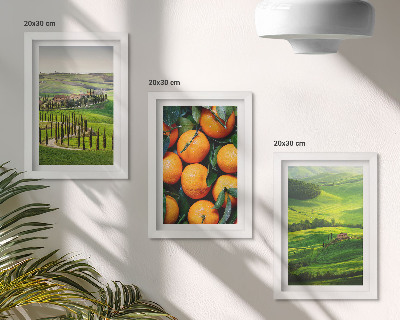 Photo frame wall Italian countryside landscape with oranges and nature