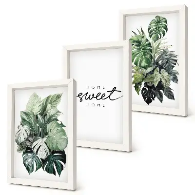 Photo frame wall with green plants and Sweet Home text design