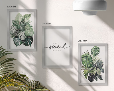Photo frame wall Green plants with the words Sweet Home
