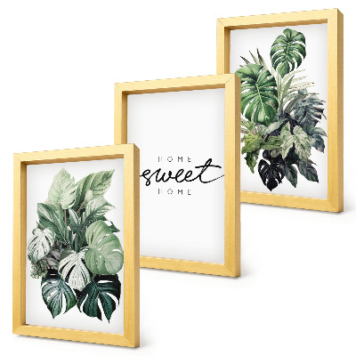 Photo frame wall Green plants with the words Sweet Home