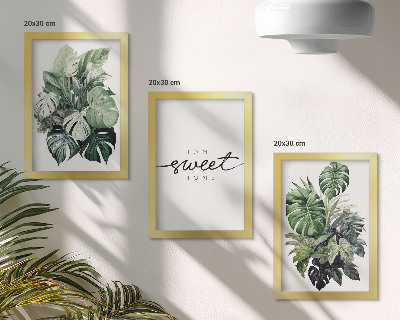 Photo frame wall Green plants with the words Sweet Home