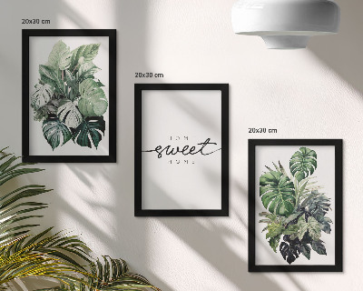 Photo frame wall Green plants with the words Sweet Home