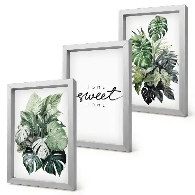 Photo frame wall with green plants and Sweet Home text design