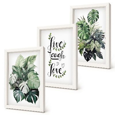 Framed triptych Leafy plants with the words live, laugh, love