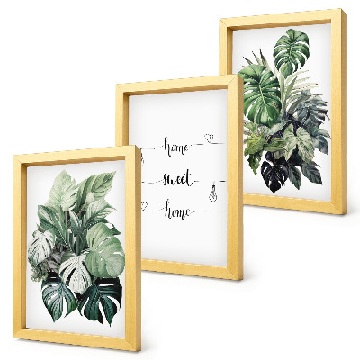 3-piece wall art set Watercolor Monstera Leaves Home Sweet Home
