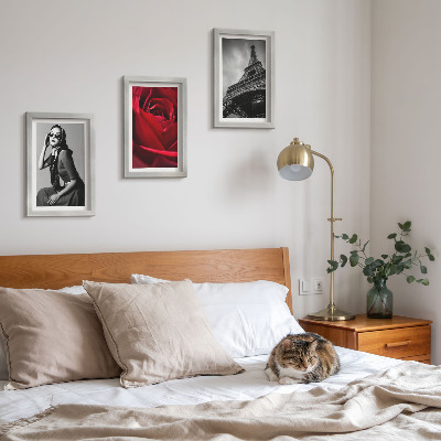 Photo frame wall Parisian woman with rose glasses and the Eiffel Tower