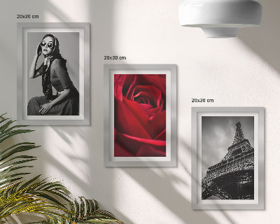 Photo frame wall Parisian woman with rose glasses and the Eiffel Tower
