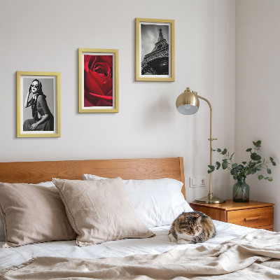 Photo frame wall Parisian woman with rose glasses and the Eiffel Tower
