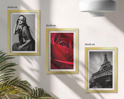 Photo frame wall Parisian woman with rose glasses and the Eiffel Tower
