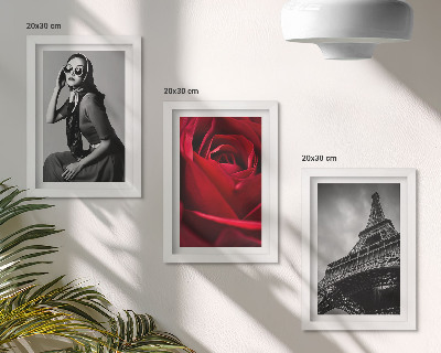 Photo frame wall Parisian woman with rose glasses and the Eiffel Tower
