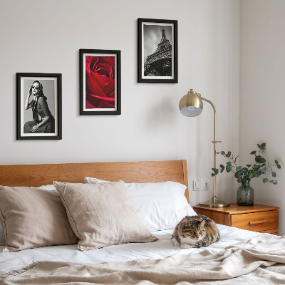 Photo frame wall Parisian woman with rose glasses and the Eiffel Tower