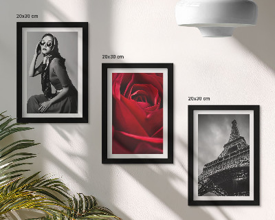 Photo frame wall Parisian woman with rose glasses and the Eiffel Tower