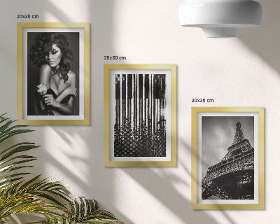 Framed triptych Portrait of a woman with a rose, the Eiffel Tower, and a piano pattern