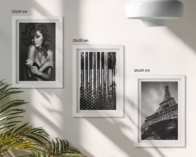 Framed triptych Portrait of a woman with a rose, the Eiffel Tower, and a piano pattern