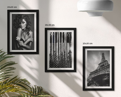 Framed triptych Portrait of a woman with a rose, the Eiffel Tower, and a piano pattern
