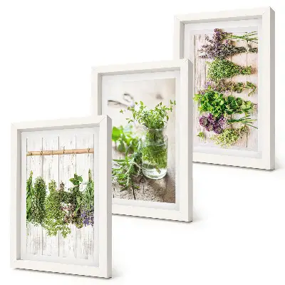 Photo frame wall for drying herbs and plants in the kitchen