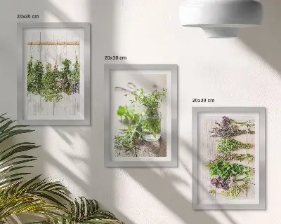Photo frame wall for drying herbs and plants in the kitchen