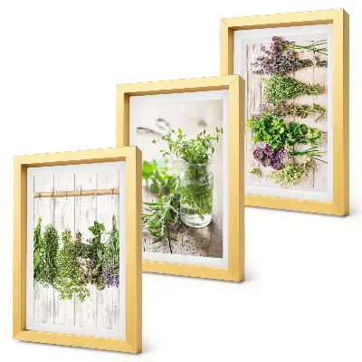 Photo frame wall for drying herbs and plants in the kitchen