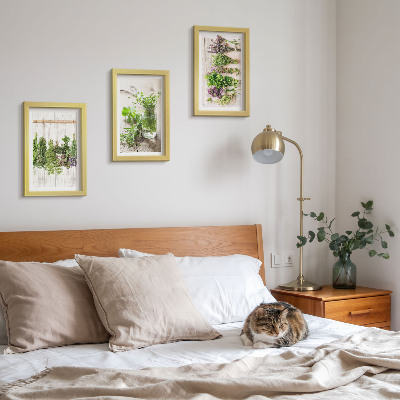 Photo frame wall Drying herbs and plants for the kitchen