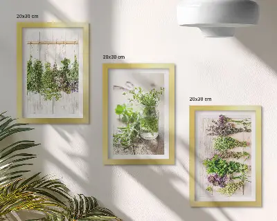 Photo frame wall for drying herbs and plants in the kitchen