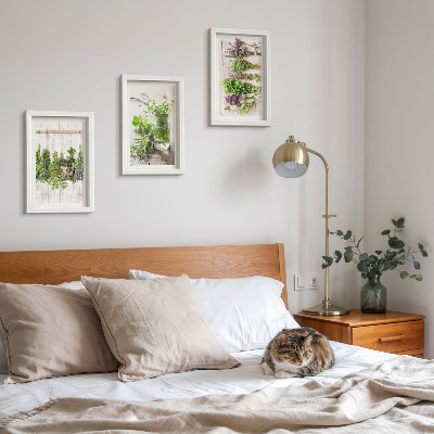 Photo frame wall Drying herbs and plants for the kitchen