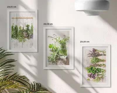 Photo frame wall for drying herbs and plants in the kitchen