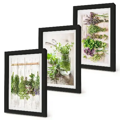 Photo frame wall for drying herbs and plants in the kitchen