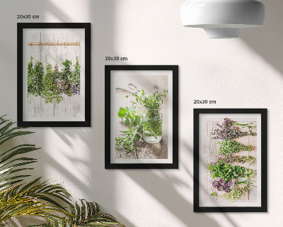 Photo frame wall Drying herbs and plants for the kitchen