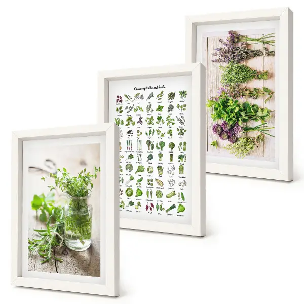 Dried plant herb list triptych framed wall art