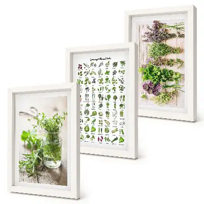 Dried plant herb list triptych framed wall art